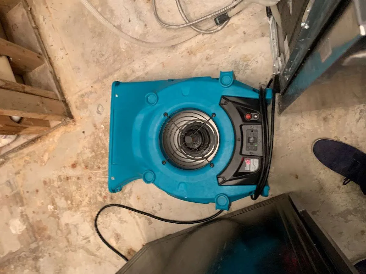 Air mover drying equipment for Mold Remediation & Removal in Palatine